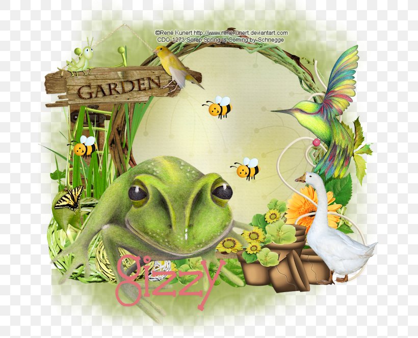 True Frog Amphibian Tree Frog Toad, PNG, 670x664px, Frog, Amphibian, Animal, Fauna, Organism Download Free