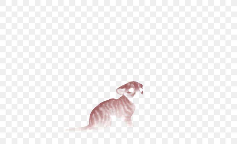 Whiskers Whippet Italian Greyhound Cat, PNG, 640x500px, Whiskers, Carnivoran, Cat, Cat Like Mammal, Dog Like Mammal Download Free