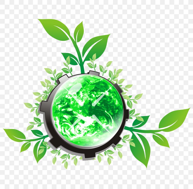 World Free Content Green Clip Art, PNG, 800x800px, World, Branch, Free Content, Green, Herbalism Download Free