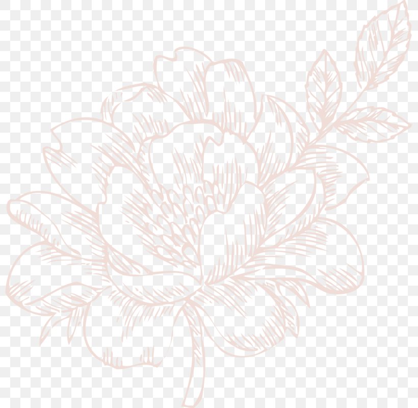 Floral Design Pattern Wallpaper, PNG, 800x800px, Floral Design, Black And White, Chrysanthemum, Chrysanths, Dahlia Download Free