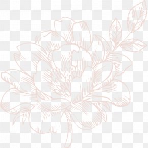 Aberdeen Graphic - Floral Design Pattern Wallpaper PNG