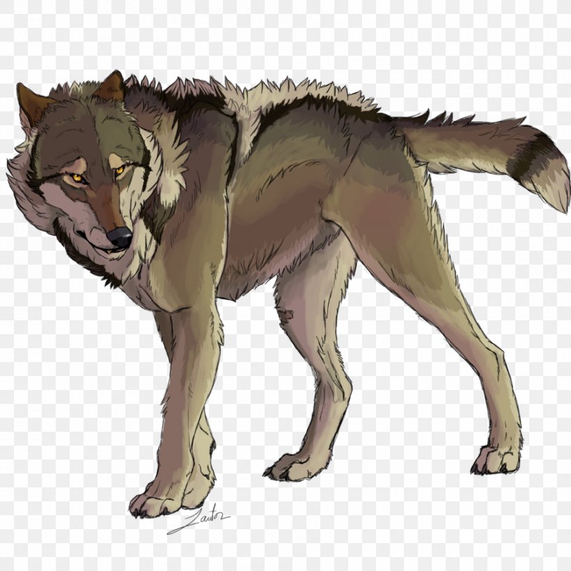 Gray Wolf Dog Red Wolf Drawing Pack, PNG, 900x900px, Gray Wolf, Animal, Animation, Art, Carnivoran Download Free