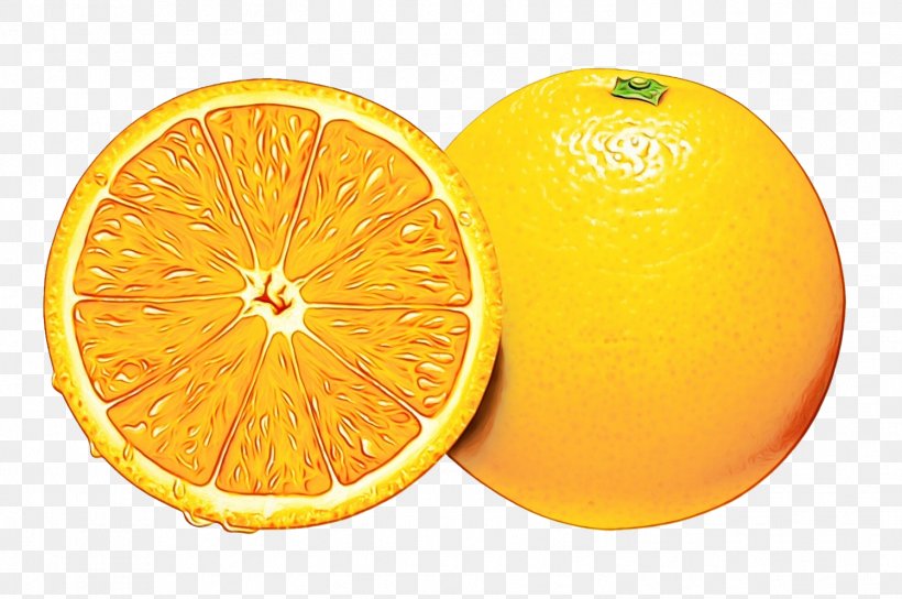 Orange, PNG, 1498x995px, Watercolor, Citric Acid, Citron, Citrus, Fruit Download Free