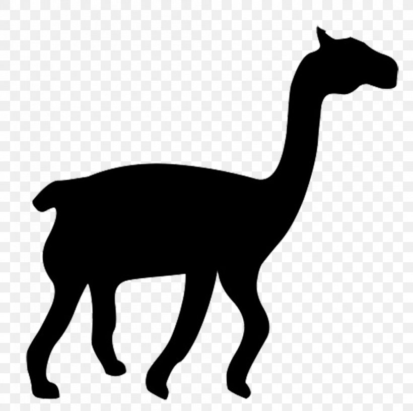 Silhouette, PNG, 1004x998px, Silhouette, Animal Figure, Black And White, Camel Like Mammal, Drawing Download Free