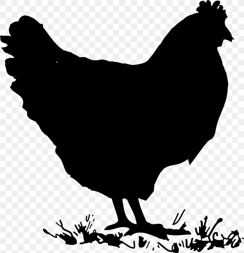 Silkie Chicken Meat Hen Clip Art, PNG, 1236x1280px, Silkie, Beak, Bird, Black And White, Chicken Download Free