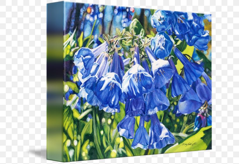 Bluebonnet Bellflower Gallery Wrap Scilla Hyacinth, PNG, 650x563px, Bluebonnet, Art, Bellflower, Bellflower Family, Blue Download Free