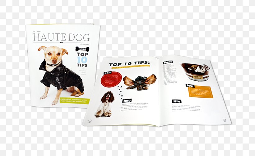 Brochure Printing Book Dog, PNG, 700x500px, Brochure, Book, Brand, Dog, Dog Like Mammal Download Free