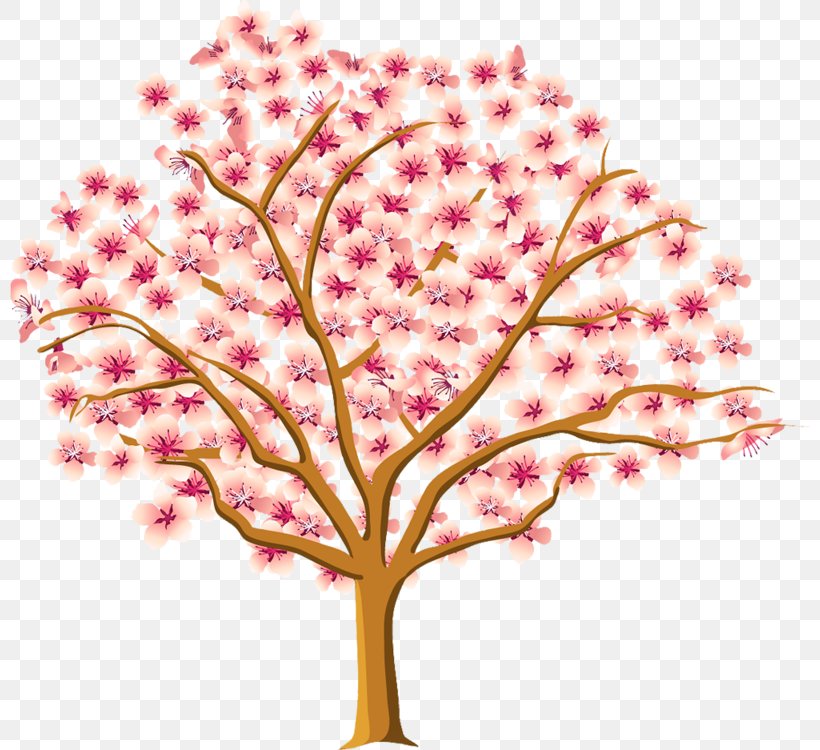 Drawing Season Tree Painting, PNG, 800x750px, Drawing, Art, Autumn, Blossom, Branch Download Free