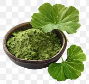 Gotu Kola Powder - Green Herbal Powder With Leaves PNG