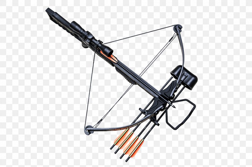 Compound Bows Interloper Crossbow Ranged Weapon, PNG, 1000x667px, Compound Bows, Artikel, Bow, Bow And Arrow, Cheetah Download Free