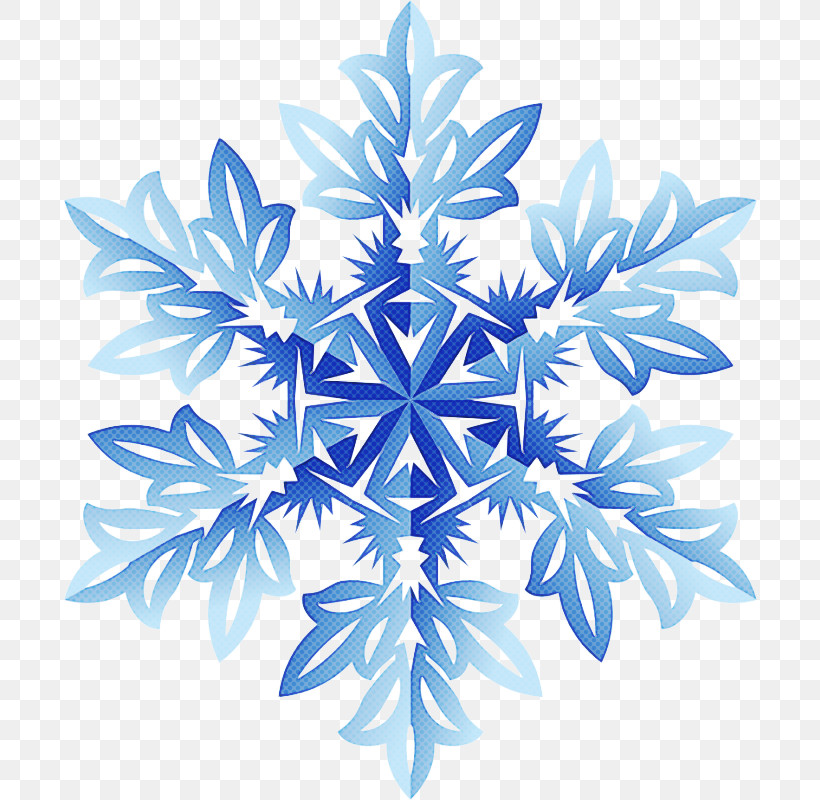 Snowflake, PNG, 800x800px, Leaf, Plant, Snowflake, Symmetry Download Free