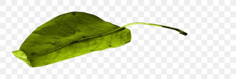 Vegetable Leaf, PNG, 1280x433px, Vegetable, Leaf Download Free
