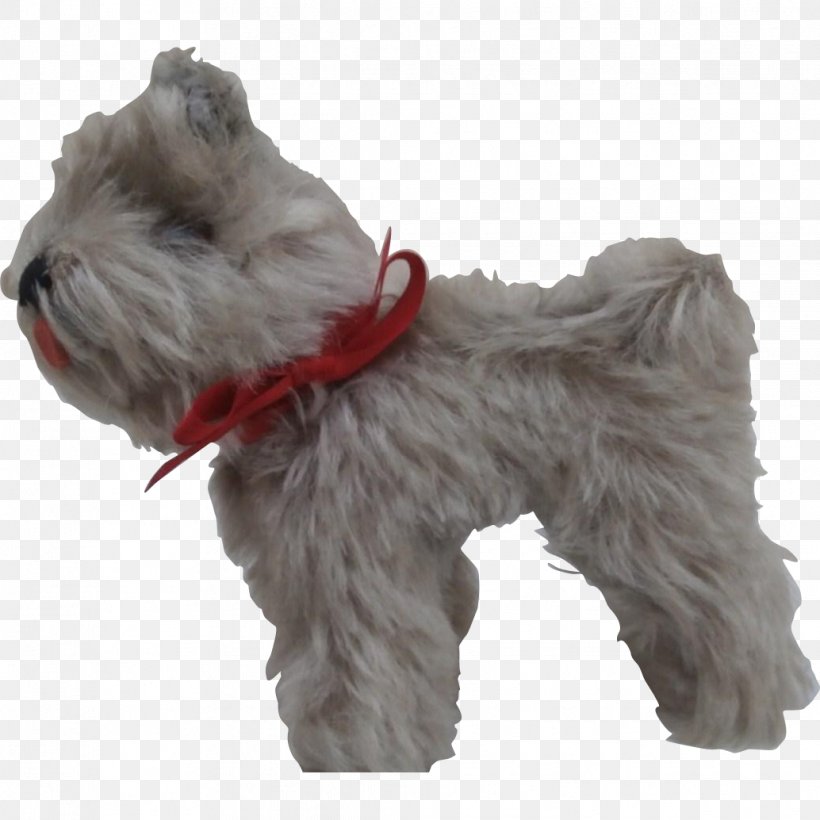 Miniature Schnauzer Soft-coated Wheaten Terrier Schnoodle Tibetan Terrier Companion Dog, PNG, 1034x1034px, Miniature Schnauzer, Breed, Carnivoran, Coat, Companion Dog Download Free