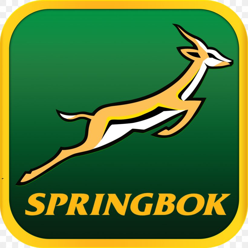 South Africa National Rugby Union Team 2017 Rugby Championship South Africa National Rugby Sevens Team Rugby World Cup, PNG, 1024x1024px, Rugby World Cup, Antelope, Antler, Area, Brand Download Free