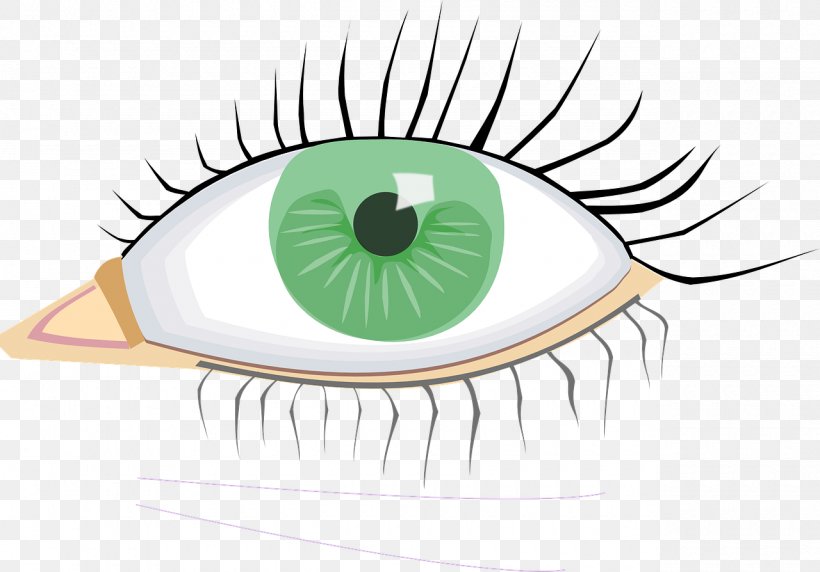 Clip Art Eye Injury Image Iris, PNG, 1280x894px, Watercolor, Cartoon, Flower, Frame, Heart Download Free