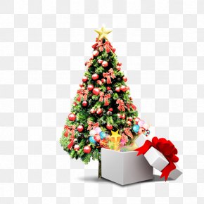 Christmas Tree Light Gift, PNG, 500x500px, Christmas Tree, Christmas ...