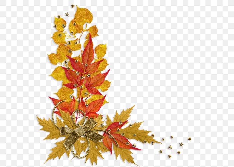 Golden Autumn Daytime Winter Clip Art, PNG, 589x584px, 2016, 2017, Autumn, Autumn Leaf Color, Branch Download Free