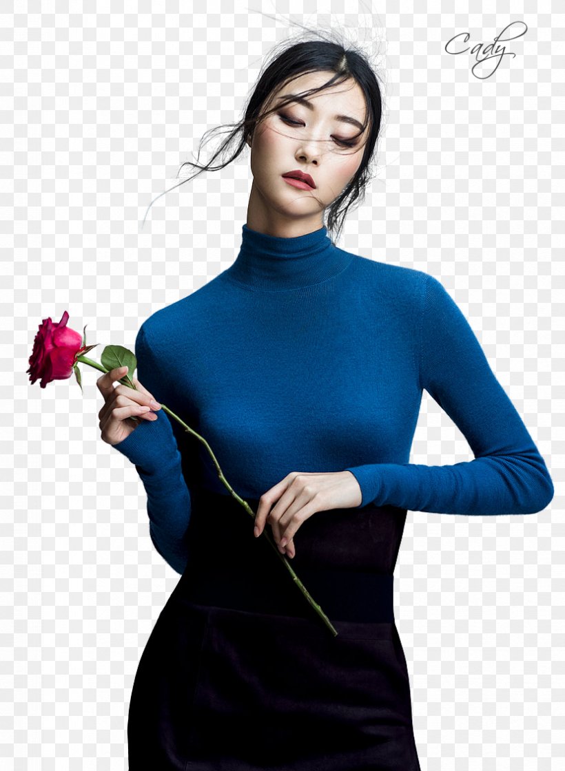 Hye-rim Park Model Harper's Bazaar Photography Fashion, PNG, 829x1133px, Hyerim Park, Abdomen, Adriana Lima, Arm, Blue Download Free