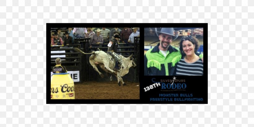 Silver Spurs Arena 138th Silver Spurs Rodeo Bullfighting, PNG, 1100x550px, Silver Spurs Arena, Advertising, Arena, Banner, Brand Download Free