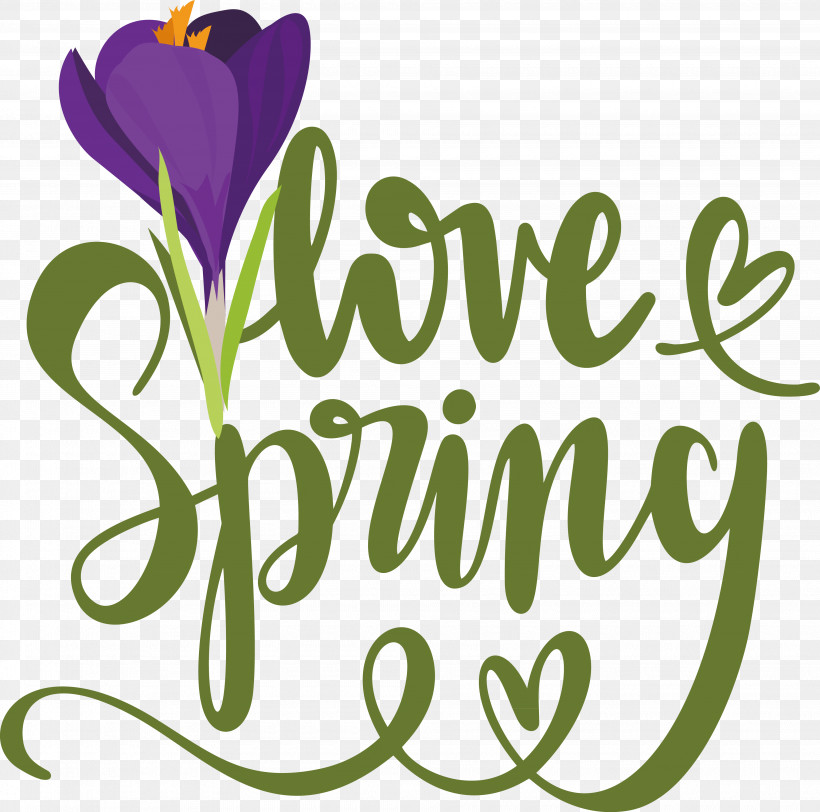 Word Art Text Drawing Spring Line Art, PNG, 3890x3856px, Word Art, Drawing, Line Art, Spring, Text Download Free