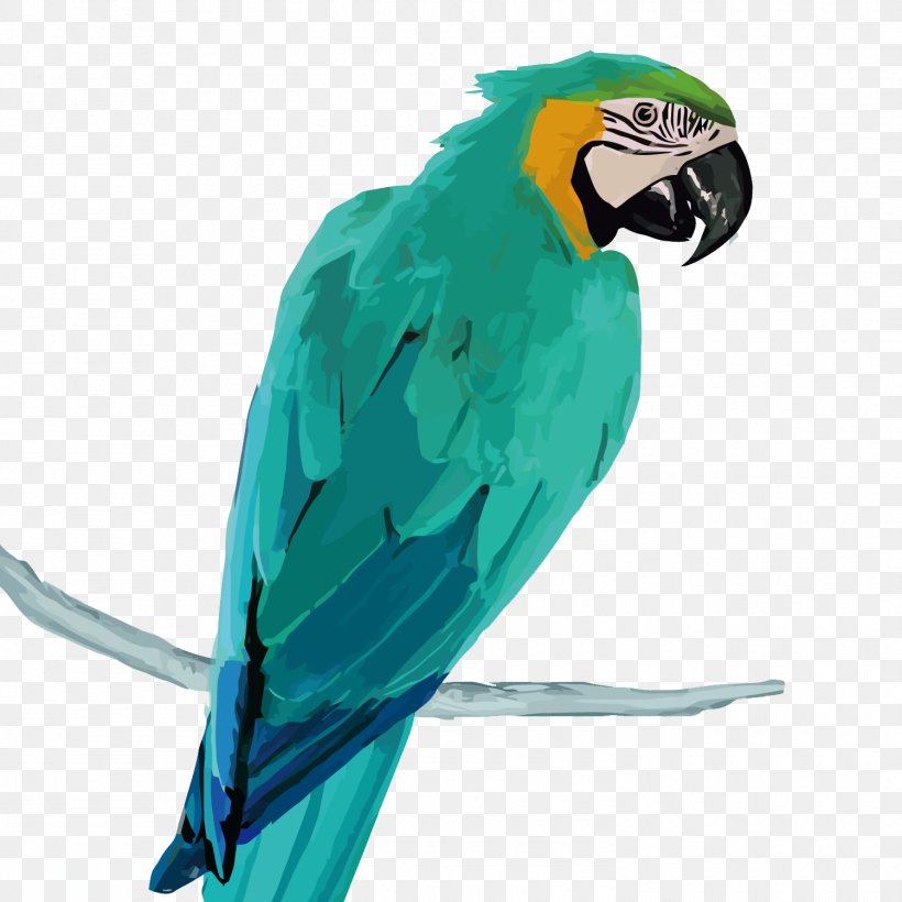 Amazon Parrot Macaw, PNG, 1500x1500px, Parrot, Amazon Parrot, Beak, Bird, Common Pet Parakeet Download Free
