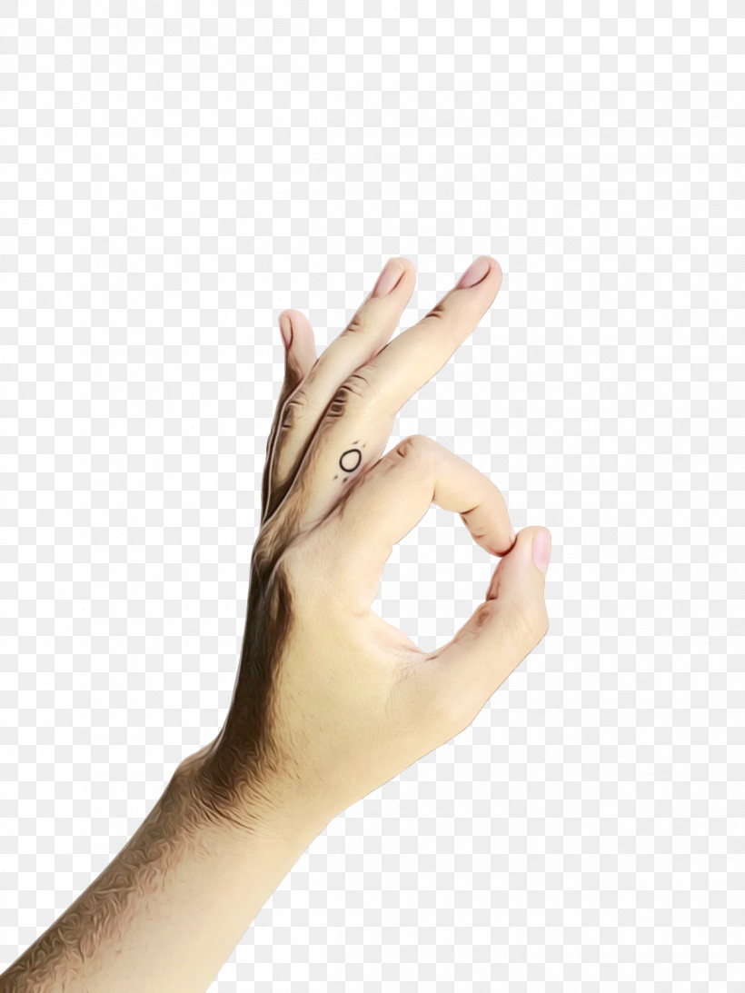 Hand Model Sign Language Language Hand Nail, PNG, 1200x1600px, Watercolor, Hand, Hand Model, Hm, Language Download Free