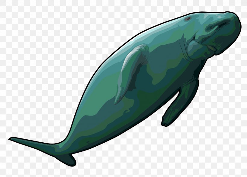 Sea Cows Steller's Sea Cow Common Bottlenose Dolphin Dugong Clip Art, PNG, 1301x934px, Sea Cows, Animal, Cetacea, Common Bottlenose Dolphin, Dolphin Download Free