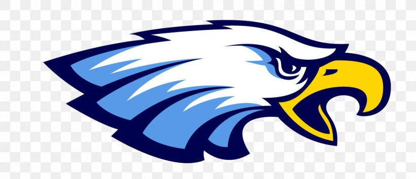 Walnut Hills High School Cincinnati Hills Christian Academy Etowah High School National Secondary School, PNG, 1125x485px, Etowah High School, Artwork, Bald Eagle, Beak, Bird Download Free