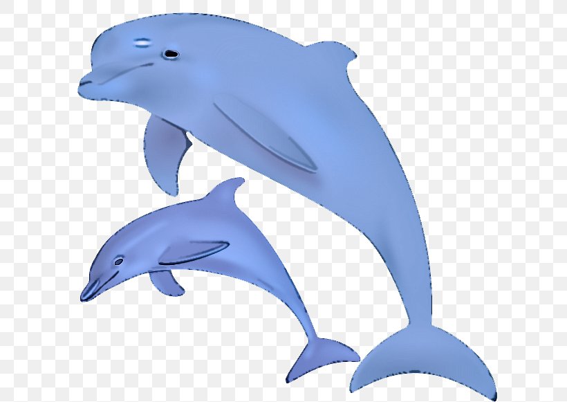Dolphin Common Bottlenose Dolphin Bottlenose Dolphin Fin Marine Mammal, PNG, 618x581px, Dolphin, Bottlenose Dolphin, Cetacea, Common Bottlenose Dolphin, Common Dolphins Download Free