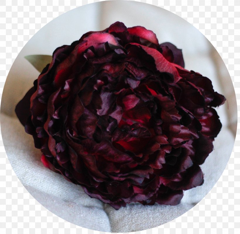 Maroon Thumbnail Peony Photography, PNG, 2360x2304px, Maroon, Clothing Accessories, Color, Cut Flowers, Flower Download Free