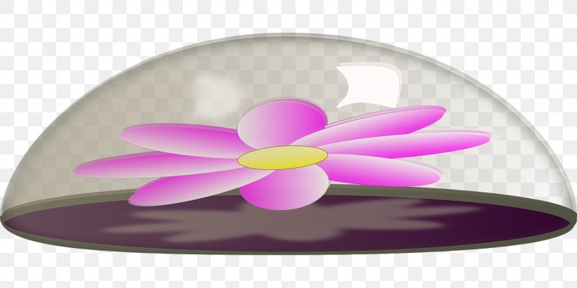 Petal Glass Flower Paper, PNG, 1280x640px, Petal, Desk, Flower, Glass, Lilac Download Free