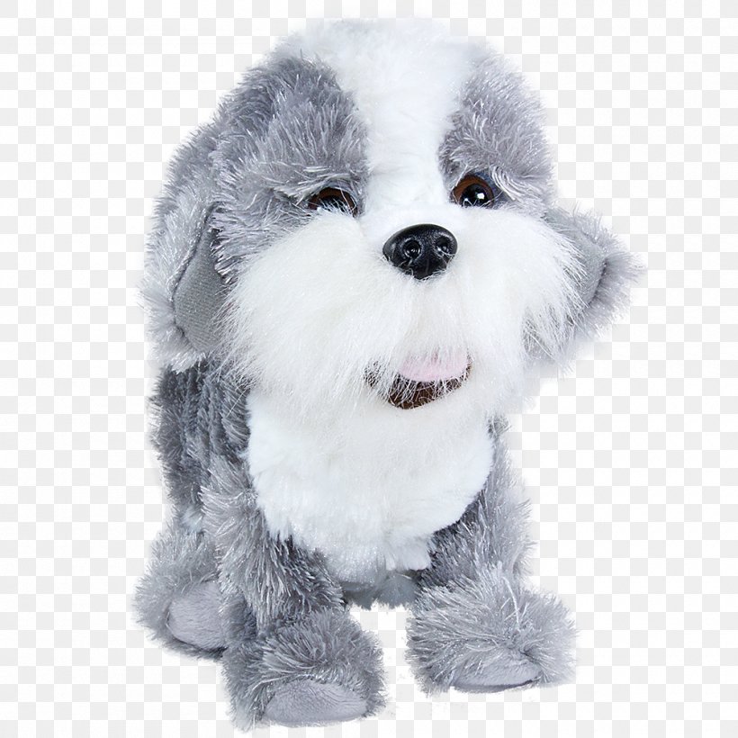 Beagle Shih Tzu Dog Paddle Puppy Grey, PNG, 1000x1000px, Beagle, Carnivoran, Companion Dog, Dandie Dinmont Terrier, Dog Download Free