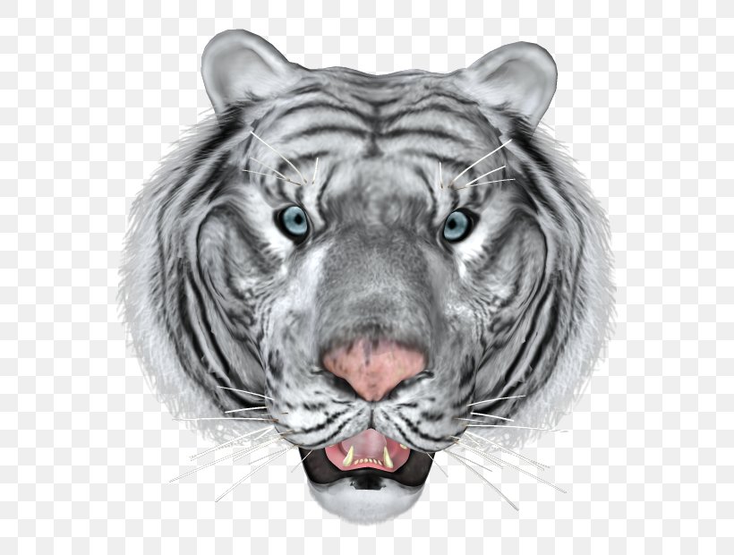 Bengal Tiger Cat Lion White Tiger Animal, PNG, 620x620px, Bengal Tiger, Animal, Big Cat, Big Cats, Carnivora Download Free