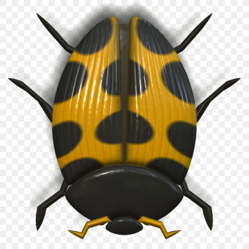 Beetle Animal, PNG, 2000x2000px, Beetle, Animal, Animation, Arthropod, Bee Download Free