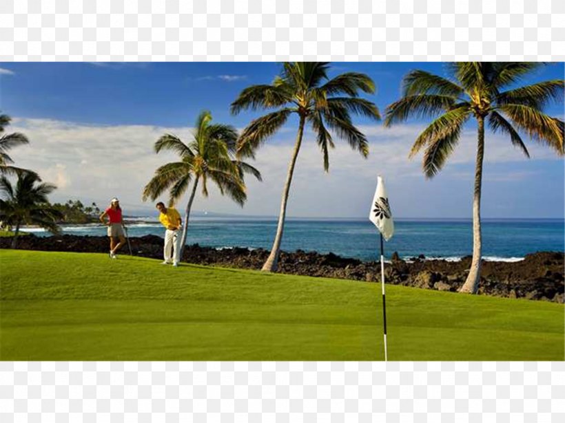Hilton Waikoloa Village Hilton Hawaiian Village Waikiki Beach Resort Kings' Land By Hilton Grand Vacations, PNG, 1024x768px, Waikoloa Village, Coast, Golf Club, Golf Course, Grass Download Free
