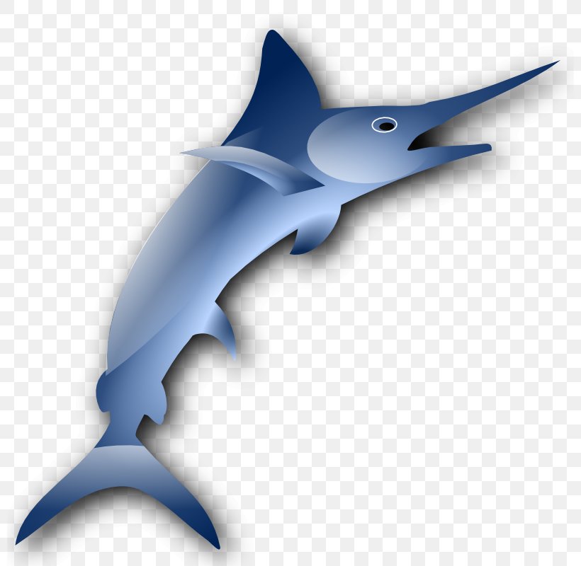 Marlin Swordfish Clip Art, PNG, 800x800px, Marlin, Beak, Billfish, Cartilaginous Fish, Dolphin Download Free