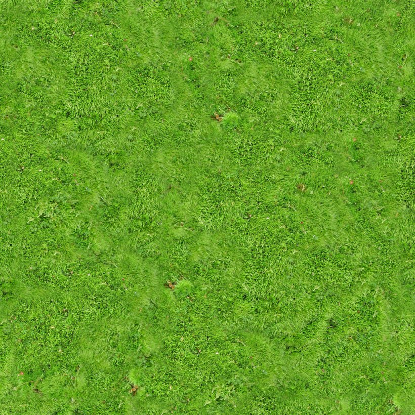 Vegetation Lawn Grassland Green, PNG, 1024x1024px, Lawn, Family, Field, Grass, Grass Family Download Free