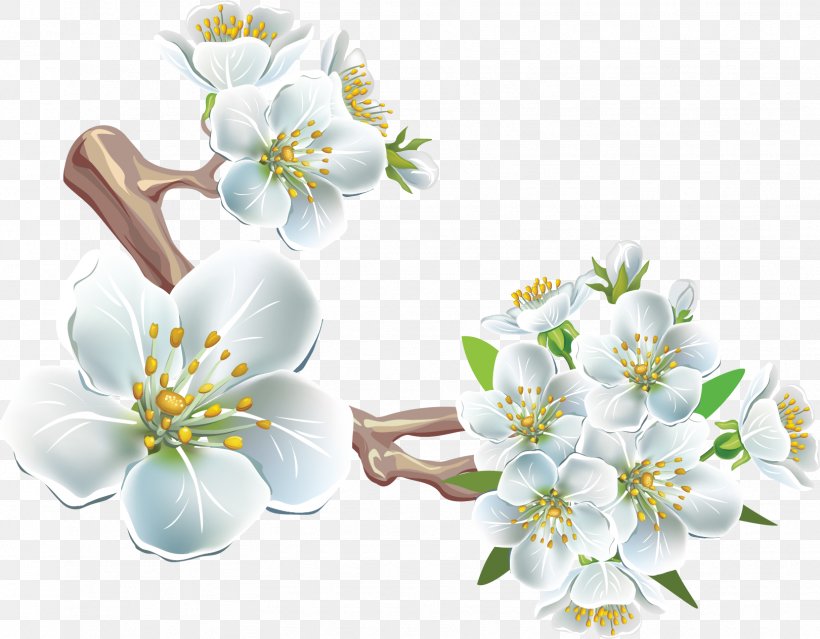 Clip Art, PNG, 1621x1265px, Cherry Blossom, Blossom, Branch, Cherry, Cut Flowers Download Free