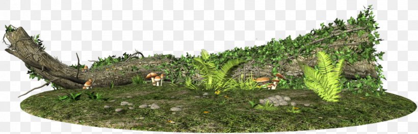 Ecosystem Grasses Tree Land Lot Plant, PNG, 1572x507px, Ecosystem, Aquarium, Aquarium Decor, Family, Grass Download Free