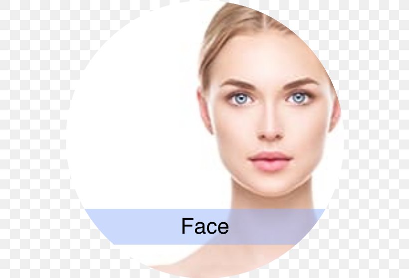 Face Skin Facial Rejuvenation Plastic Surgery, PNG, 558x558px, Face, Beauty, Beauty Parlour, Cheek, Chin Download Free