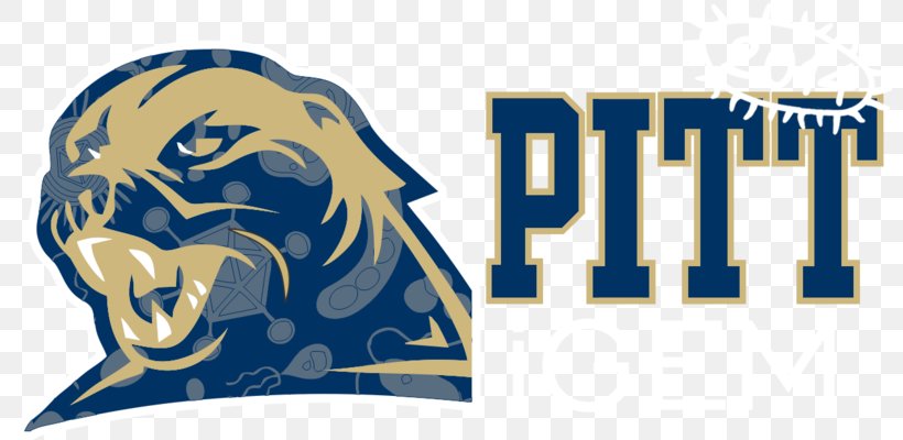 University Of Pittsburgh Pittsburgh Panthers Football Pittsburgh Panthers Baseball Logo T-shirt, PNG, 800x400px, University Of Pittsburgh, Bcs National Championship Game, Blue, Brand, Division I Ncaa Download Free