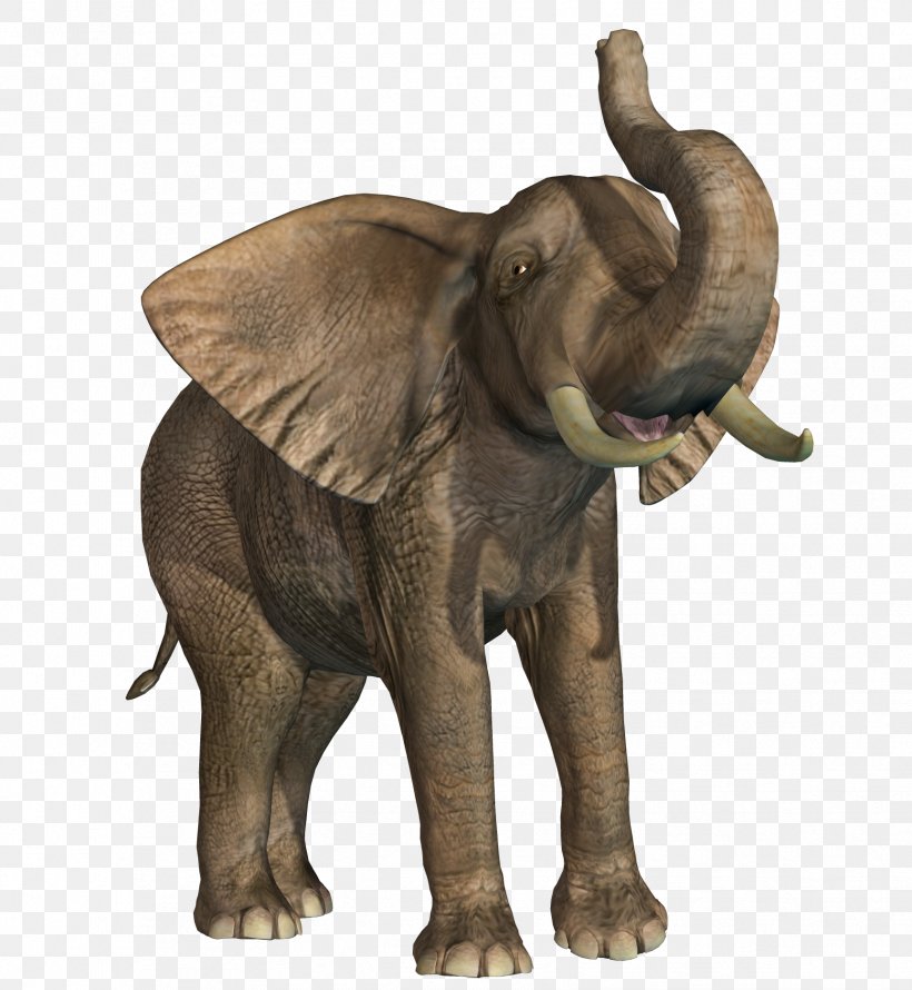 African Elephant Indian Elephant Wildlife, PNG, 1726x1875px, African Elephant, Animal, Elephant, Elephants And Mammoths, Elephants In Kerala Culture Download Free