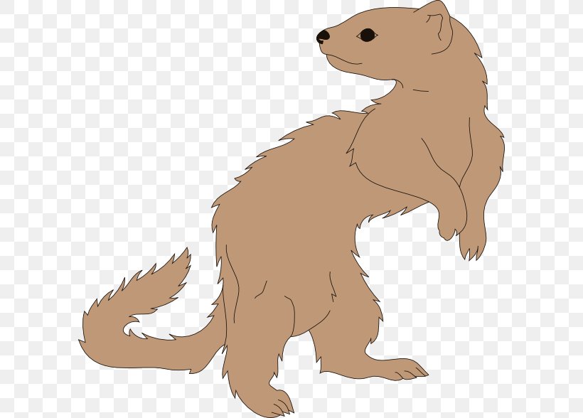 Ferret Mustela Clip Art, PNG, 600x588px, Ferret, Animal Figure, Bear, Beaver, Carnivoran Download Free