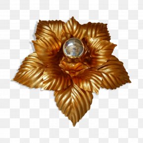 Brooch PNG