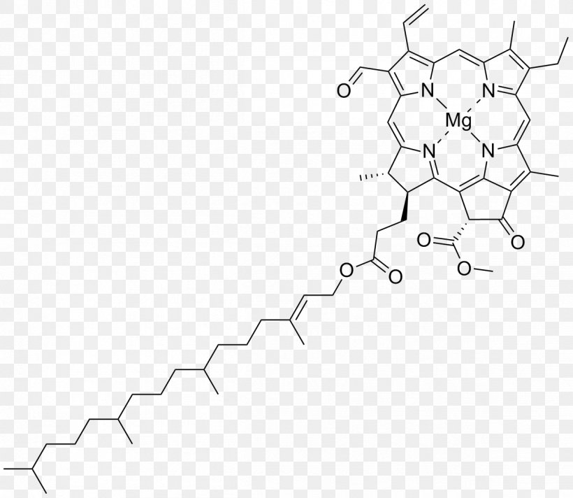 Chlorophyll A Chlorophyll B Photosynthetic Pigment Photosynthesis, PNG, 1201x1043px, Chlorophyll, Absorption, Area, Biological Pigment, Black And White Download Free