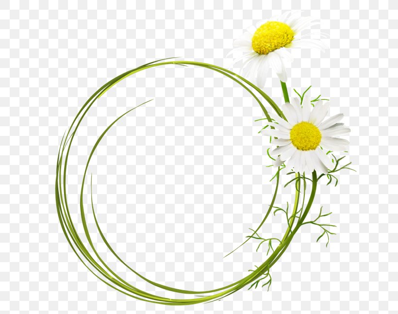 German Chamomile Clip Art, PNG, 650x647px, German Chamomile, Chamomile, Common Daisy, Computer Software, Cut Flowers Download Free