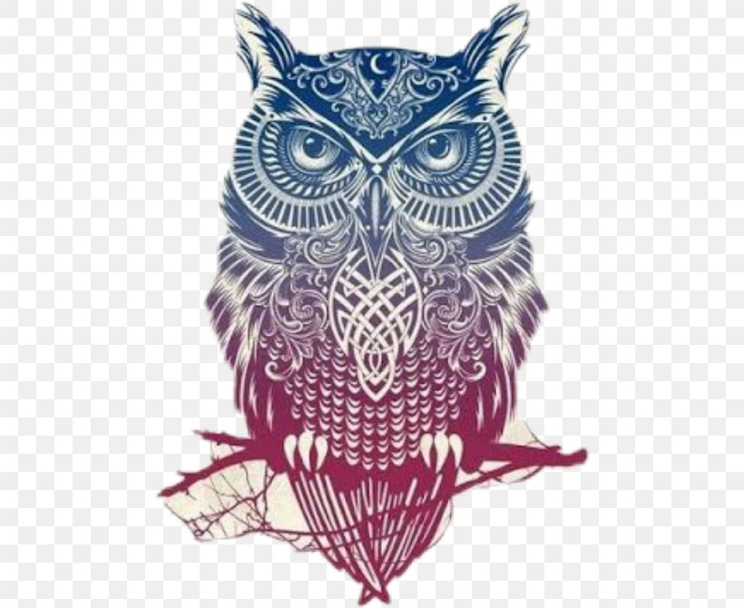 Little Owl Tattoo Color Pin, PNG, 480x670px, Owl, Abziehtattoo, Art, Barn Owl, Beak Download Free