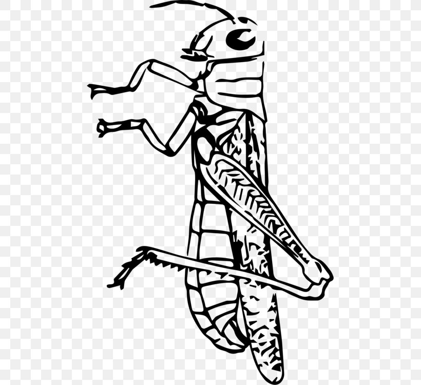 Vector Graphics Clip Art Drawing Grasshopper Illustration, PNG, 481x750px, Drawing, Arm, Art, Blackandwhite, Caelifera Download Free