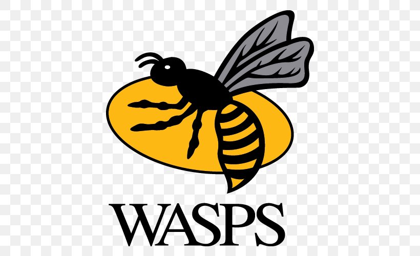 Wasps RFC Worcester Warriors Saracens F.C. Ricoh Arena Gloucester Rugby, PNG, 500x500px, Wasps Rfc, Artwork, Bee, Black And White, European Rugby Champions Cup Download Free