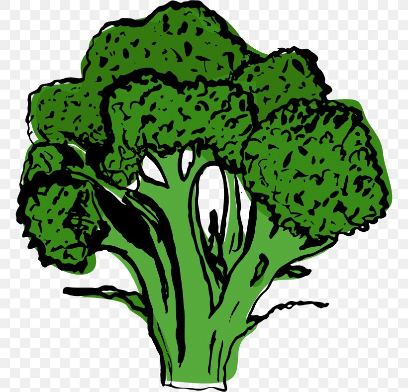 Greens Leaf Vegetable Plant Stem Infinity Foods, PNG, 758x788px, Greens, Botany, Broccoli, Cabbage, Cruciferous Vegetables Download Free
